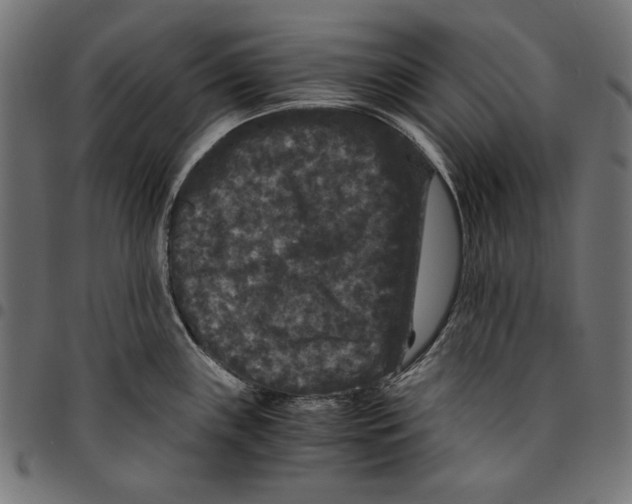 X0000094781243200712141613