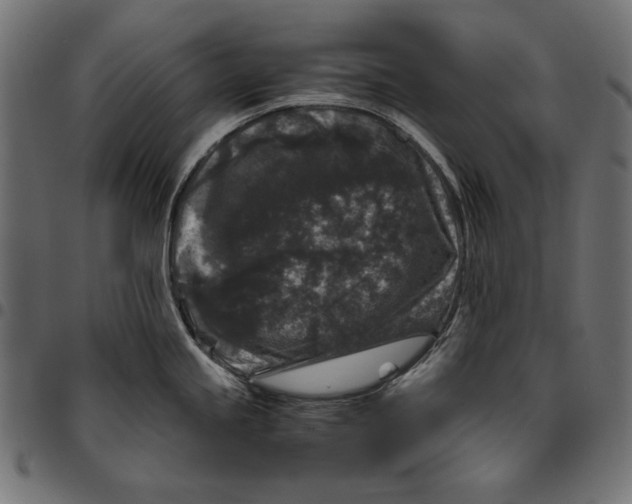 X0000094781245200712141613