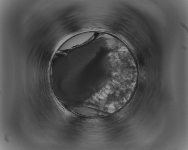 X0000094781246200712141613