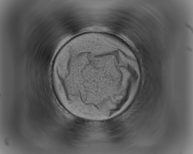 X0000094781248200712141613