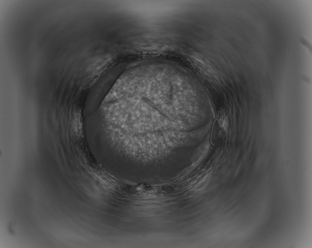 X0000094781252200712141612