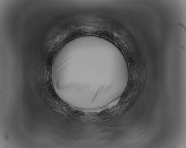 X0000094781253200712141612