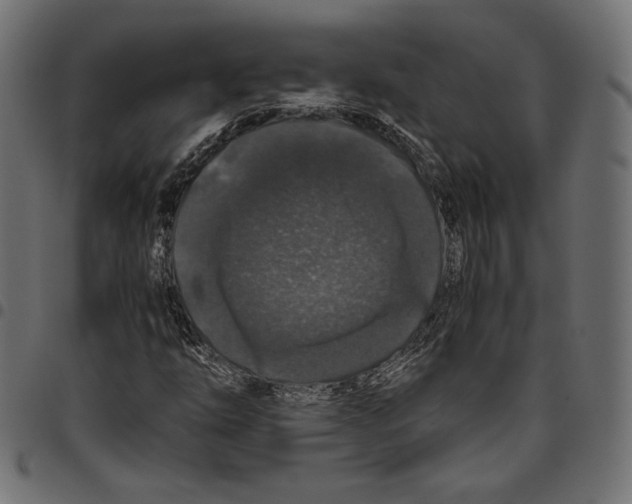 X0000094781254200712141612