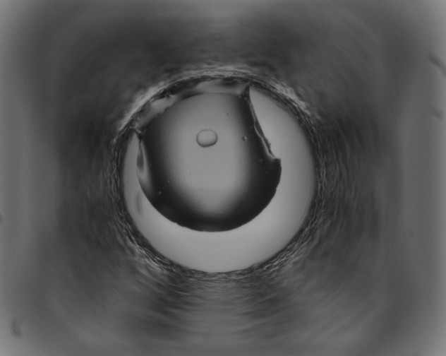 X0000094781256200712141612