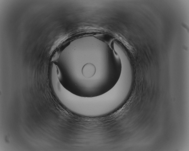 X0000094781261200712141612