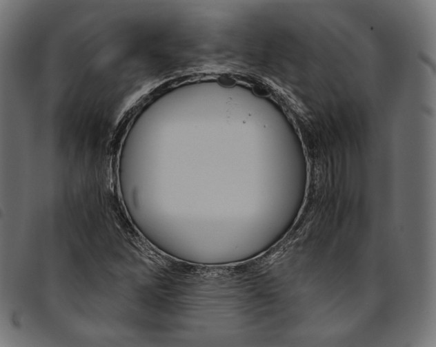 X0000094781262200712141612