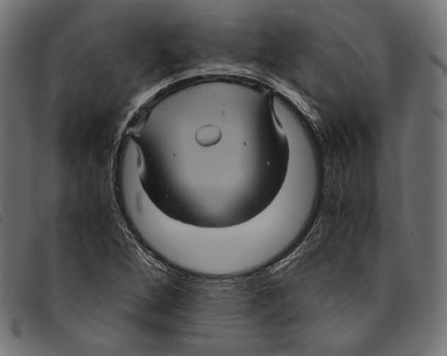 X0000094781264200712141612