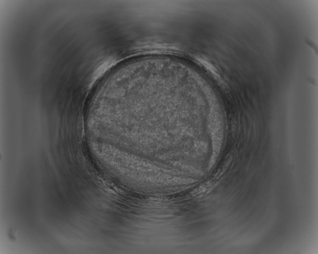 X0000094781267200712141612