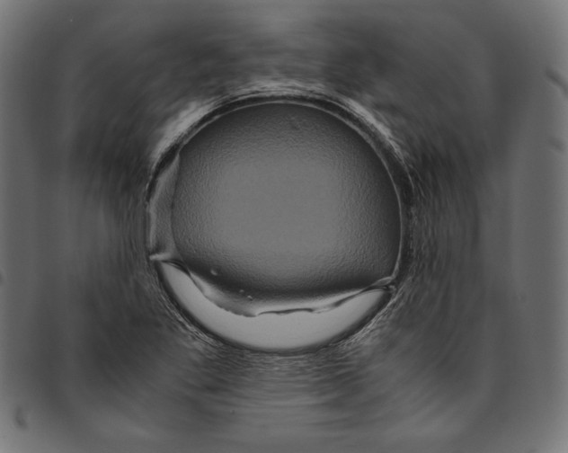 X0000094781269200712141612