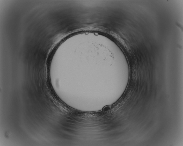 X0000094781270200712141612