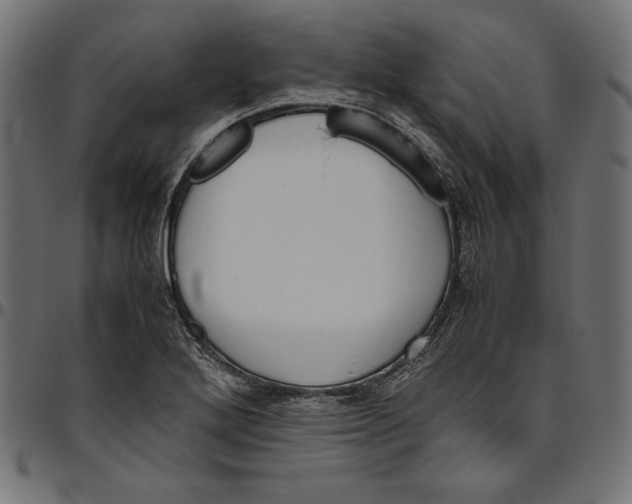 X0000094781272200712141612