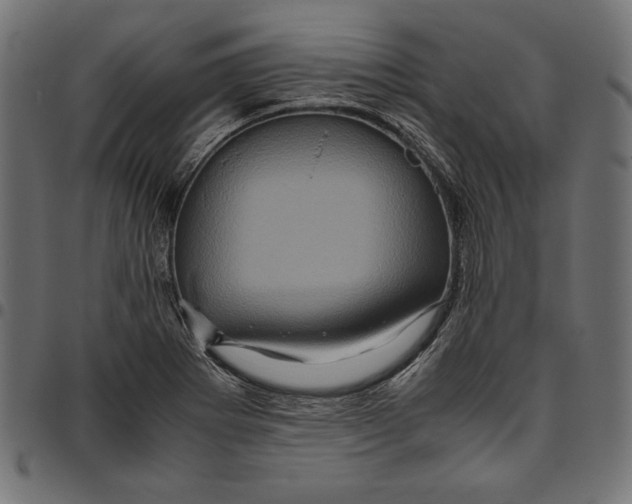 X0000094781273200712141612