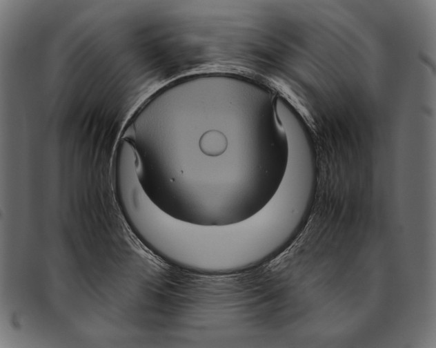 X0000094781276200712141612