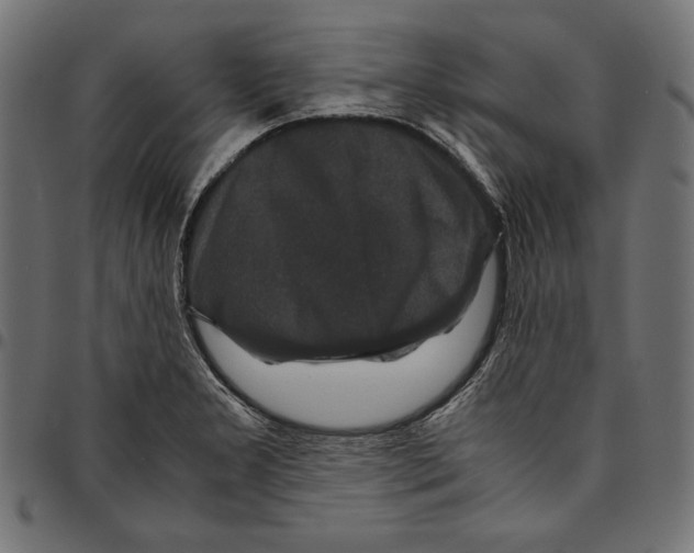 X0000094781277200712141612