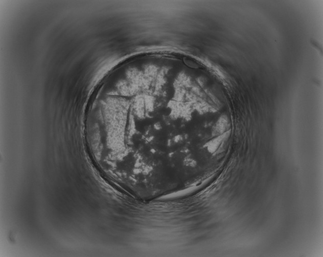 X0000094781279200712141612