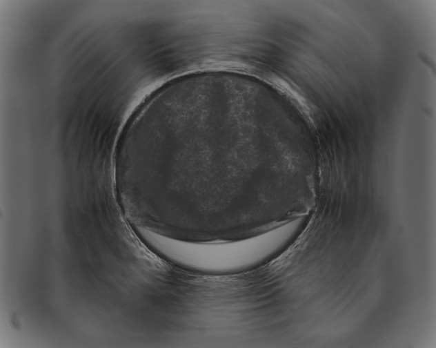 X0000094781280200712141612