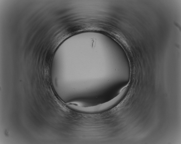 X0000094781281200712141612