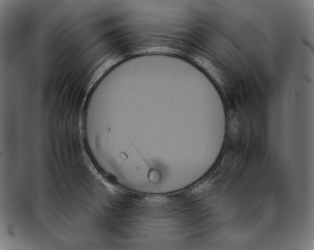 X0000094781282200712141612