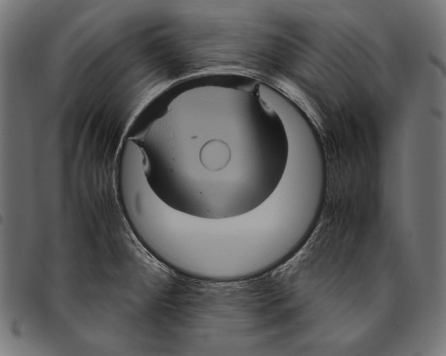 X0000094781284200712141612