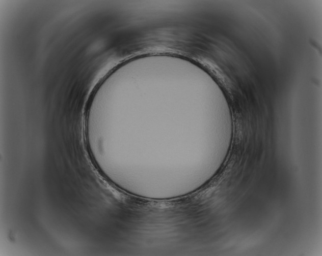 X0000094781286200712141612