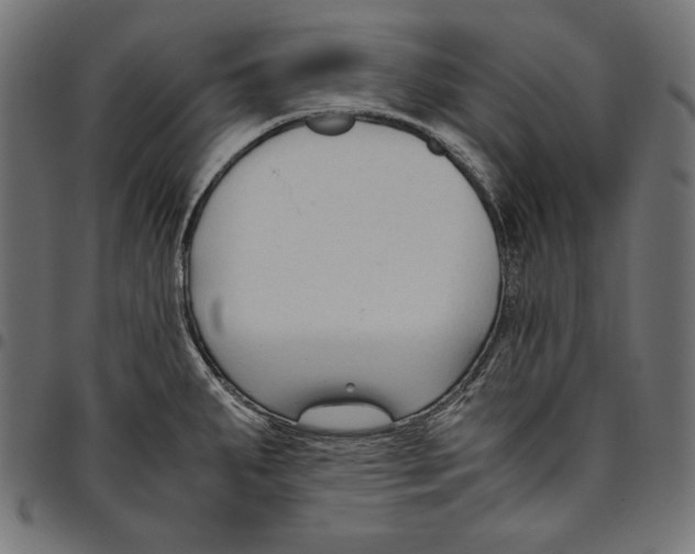 X0000094781287200712141612