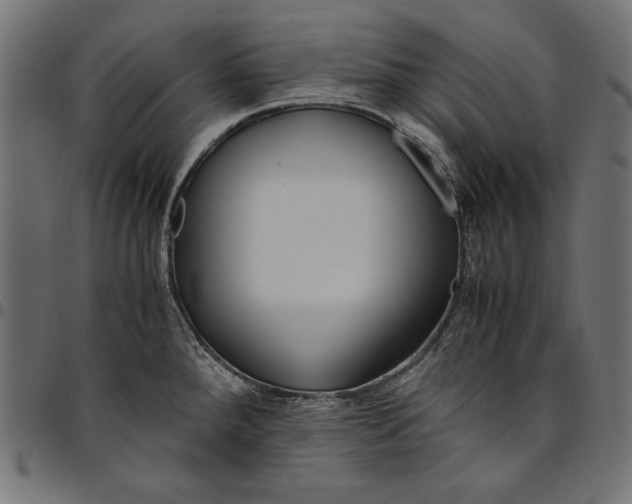 X0000094781288200712141612