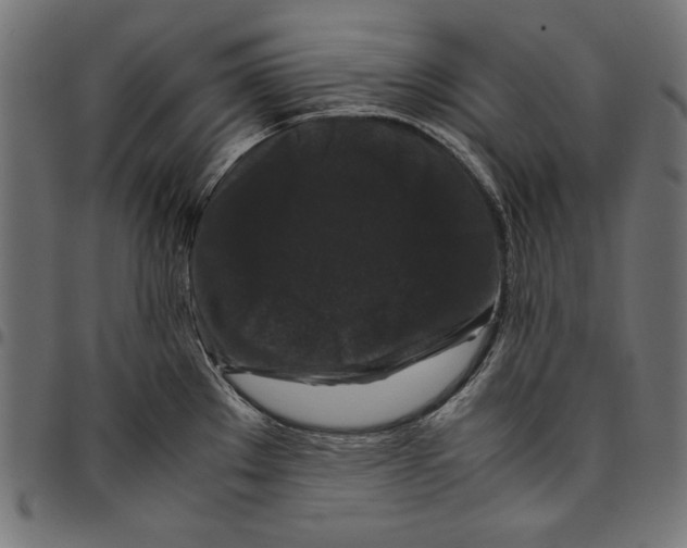 X0000094781289200712141612