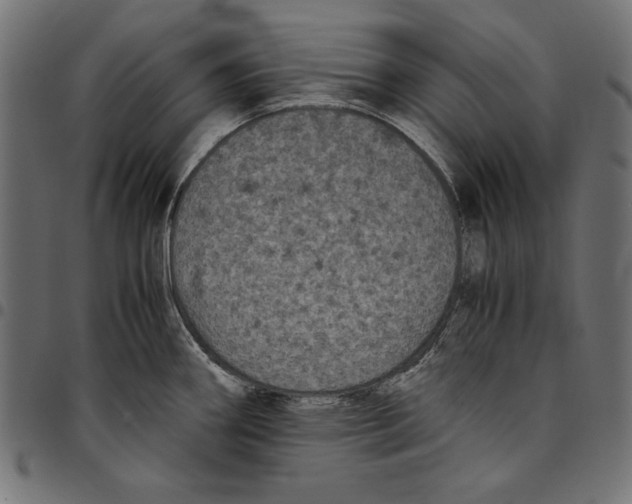 X0000094781290200712141611