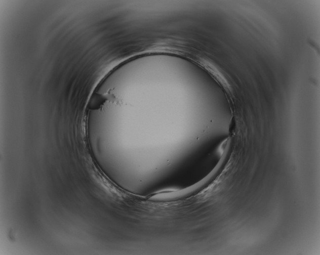 X0000094781292200712141611