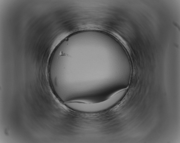 X0000094781293200712141611