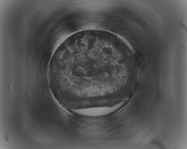 X0000094781295200712141611