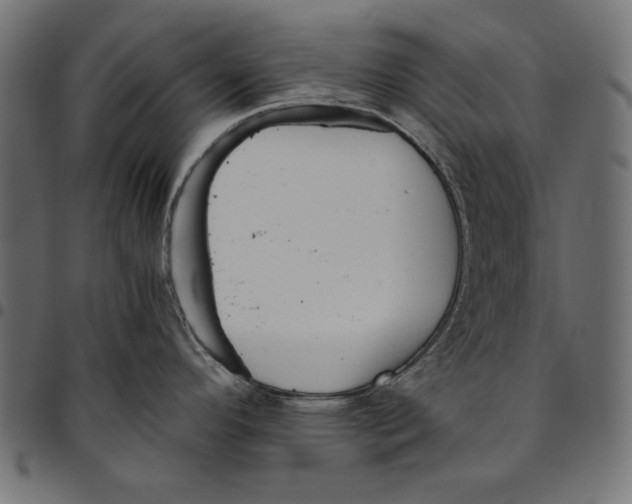 X0000094781296200712141611