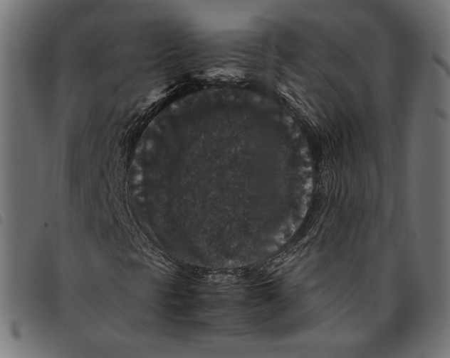 X0000094781297200712141610