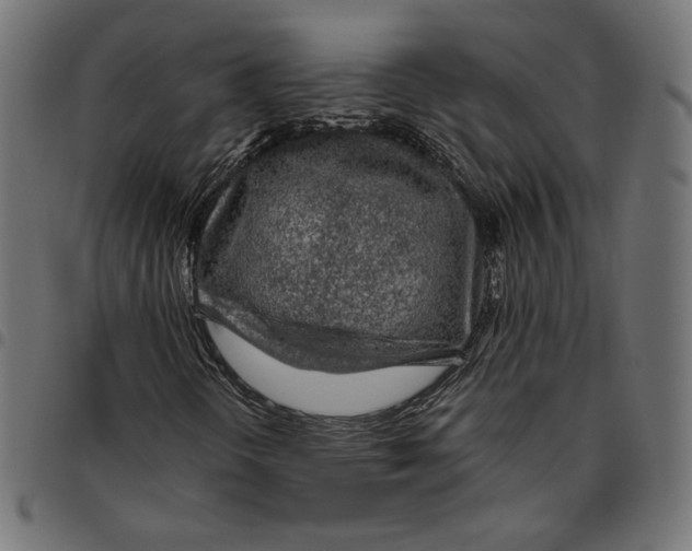 X0000094781298200712141610