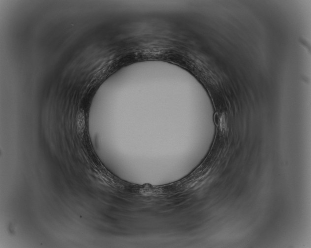 X0000094781299200712141610