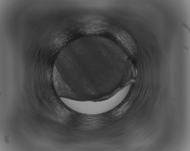 X0000094781300200712141610