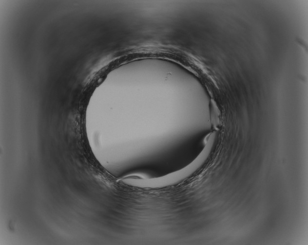 X0000094781304200712141611