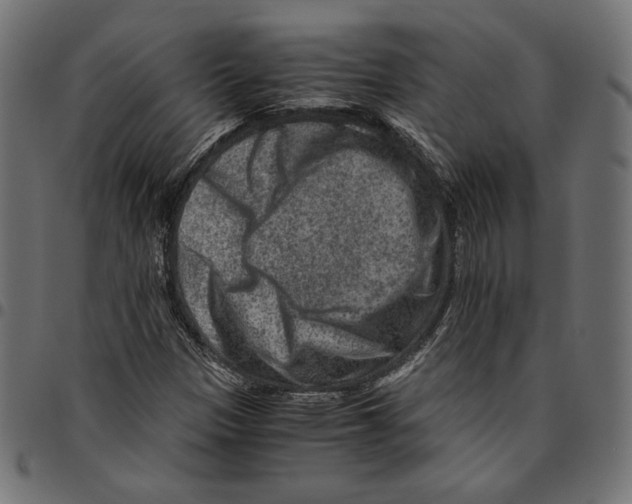 X0000094781305200712141611