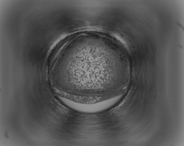 X0000094781310200712141611