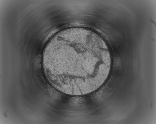 X0000094781314200712141611