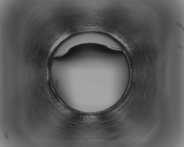 X0000094781317200712141611