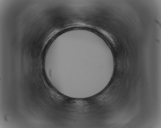 X0000094781318200712141611