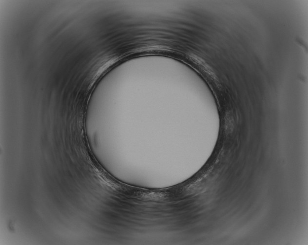 X0000094781321200712141611