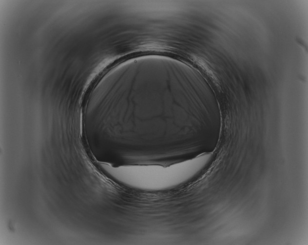 X0000094781323200712141611