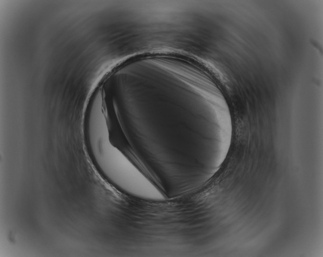 X0000094781327200712141611