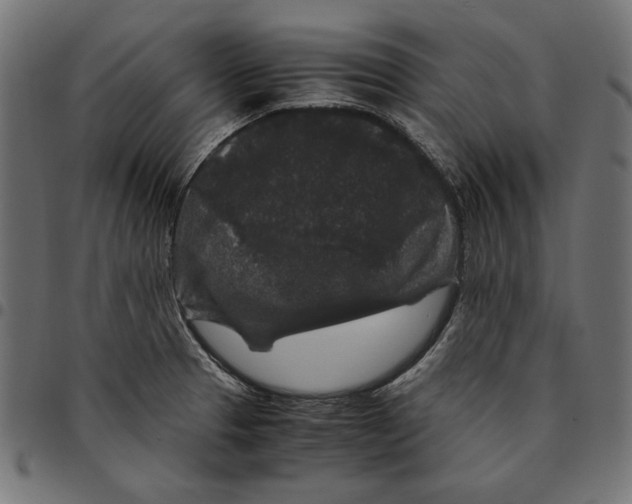 X0000094781329200712141611