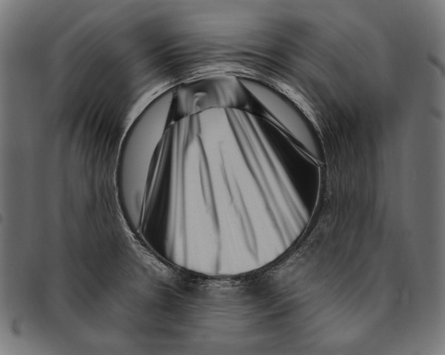 X0000094781330200712141611