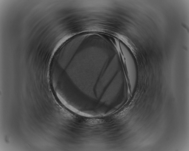 X0000094781331200712141611