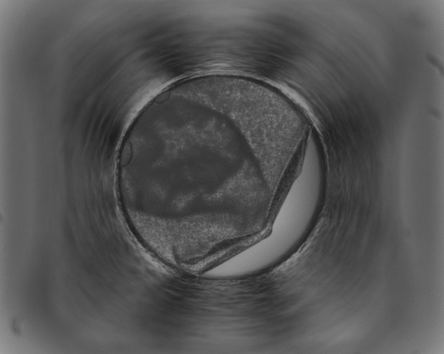 X0000094781333200712141611