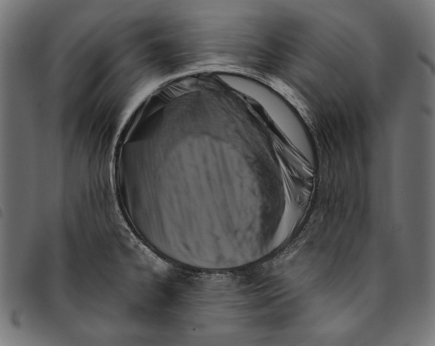 X0000094781334200712141611